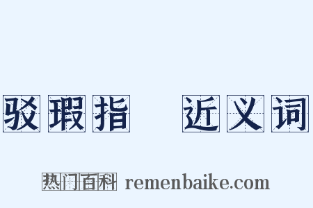 驳瑕指颣近义词是什么意思的图片